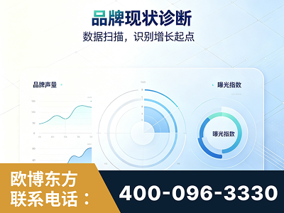 赤壁-品牌现状诊断