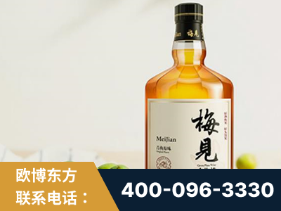 赤壁-梅见青梅酒